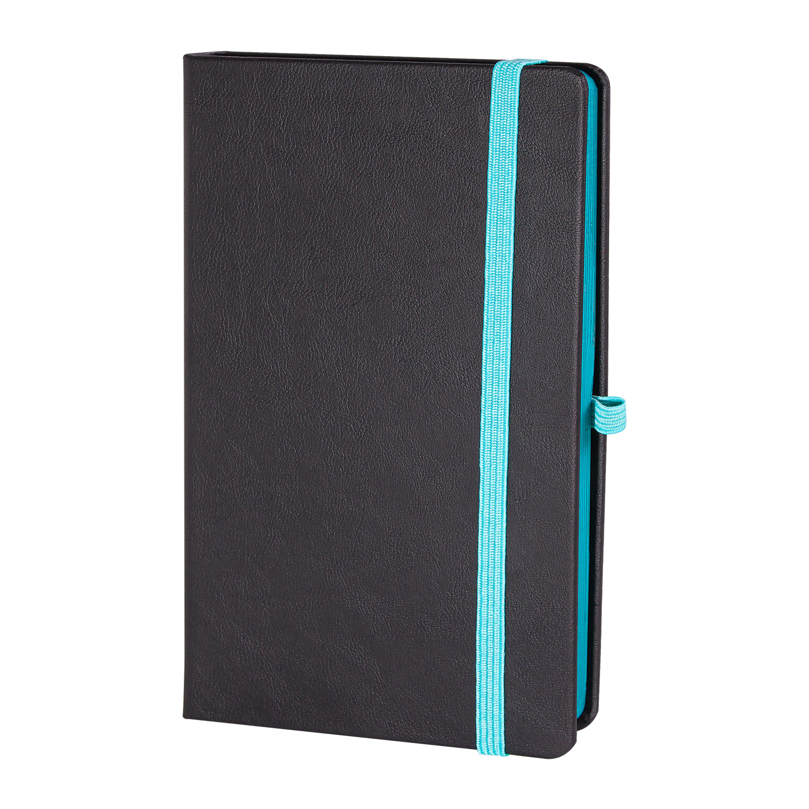 TUNALI TURKUAZ TARİHSİZ DEFTER (13X21 CM) 1 TUNALI TURKUAZ TARİHSİZ DEFTER (13X21 CM)