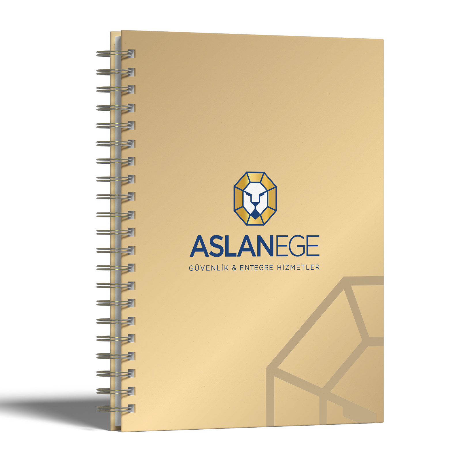 GÖLBAŞI KUŞE MUKAVVA SIVAMA SPİRALLİ AJANDA (17X24 CM) 1 GÖLBAŞI KUŞE MUKAVVA SIVAMA SPİRALLİ AJANDA (17X24 CM)